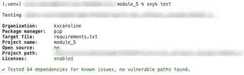 Software Assurance & Secure SQL — Snyk Scan